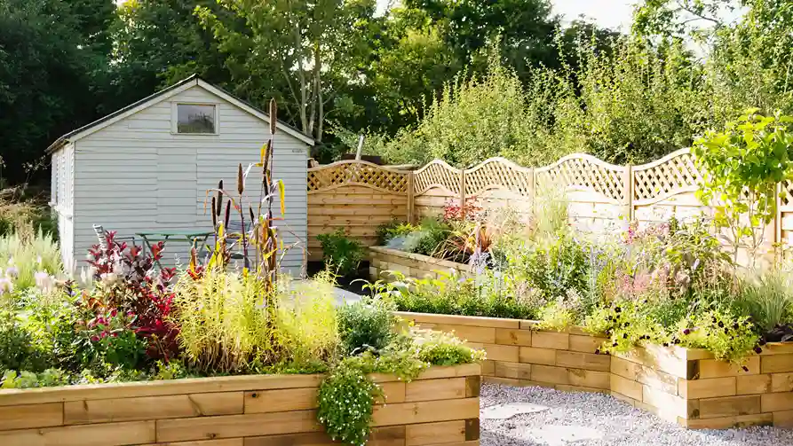 How to Create a Low-Maintenance Garden in Your Backyard